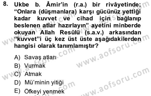 Hadis Dersi 2013 - 2014 Yılı (Final) Dönem Sonu Sınav Soruları 8. Soru