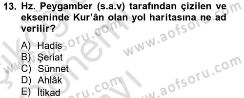 Hadis Dersi 2013 - 2014 Yılı Tek Ders Sınav Soruları 13. Soru
