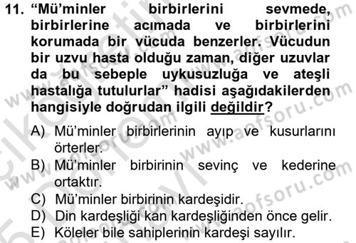 Hadis Dersi 2014 - 2015 Yılı Tek Ders Sınav Soruları 11. Soru