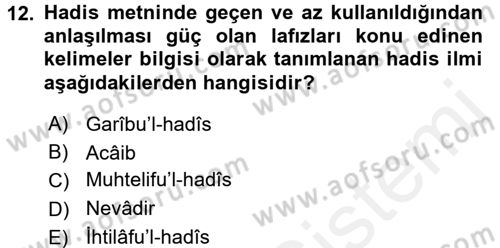 Hadis Dersi 2015 - 2016 Yılı (Vize) Ara Sınav Soruları 12. Soru