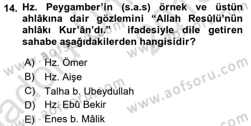 Hadis Dersi 2018 - 2019 Yılı 3 Ders Sınav Soruları 14. Soru