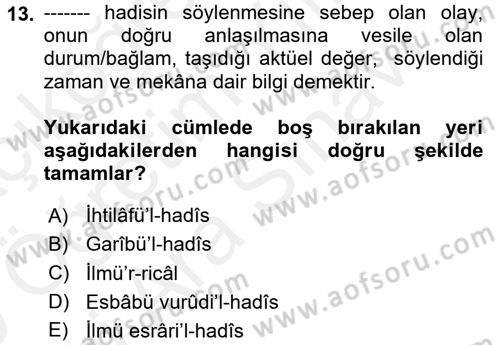 Hadis Dersi 2018 - 2019 Yılı (Vize) Ara Sınav Soruları 13. Soru