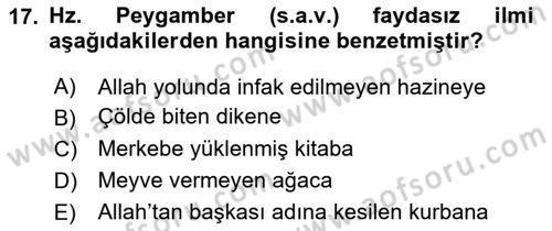 Hadis Dersi 2018 - 2019 Yılı (Vize) Ara Sınav Soruları 17. Soru