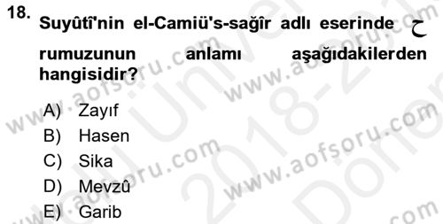 Hadis Dersi 2018 - 2019 Yılı (Final) Dönem Sonu Sınav Soruları 18. Soru