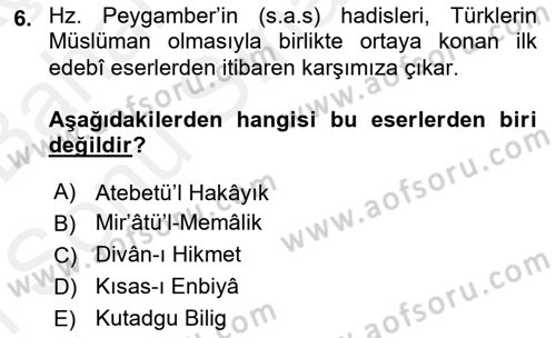 Hadis Dersi 2018 - 2019 Yılı (Final) Dönem Sonu Sınav Soruları 6. Soru