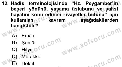 Hadis Dersi 2018 - 2019 Yılı Yaz Okulu Sınav Soruları 12. Soru