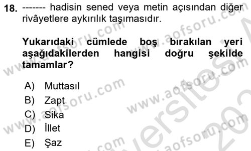 Hadis Dersi 2022 - 2023 Yılı Yaz Okulu Sınav Soruları 18. Soru
