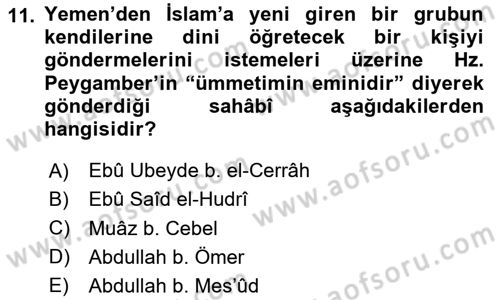 Hadis Dersi 2023 - 2024 Yılı (Vize) Ara Sınav Soruları 11. Soru