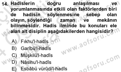 Hadis Dersi 2023 - 2024 Yılı (Vize) Ara Sınav Soruları 14. Soru
