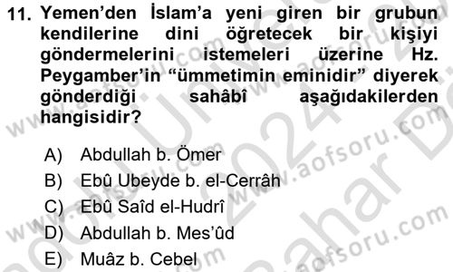 Hadis Dersi 2024 - 2025 Yılı (Vize) Ara Sınav Soruları 11. Soru