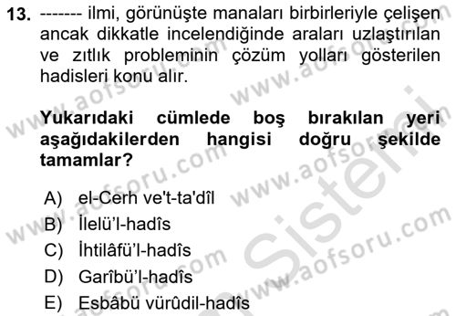 Hadis Dersi 2024 - 2025 Yılı (Vize) Ara Sınav Soruları 13. Soru