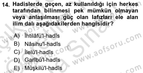 Hadis Dersi 2024 - 2025 Yılı (Vize) Ara Sınav Soruları 14. Soru