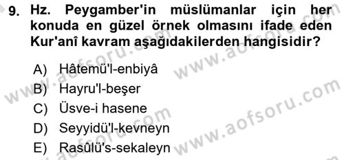 Hadis Dersi 2024 - 2025 Yılı (Final) Dönem Sonu Sınav Soruları 9. Soru
