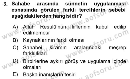 Hadis Dersi Yaz Okulu Sınavı Deneme Sınav Soruları 3. Soru