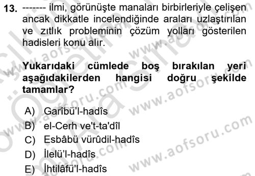 Hadis Dersi 2025 - 2026 Yılı (Vize) Ara Sınav Soruları 13. Soru