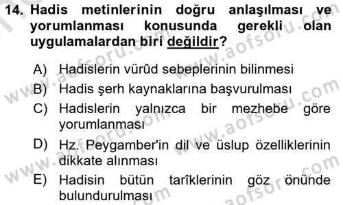 Hadis Dersi 2025 - 2026 Yılı (Vize) Ara Sınav Soruları 14. Soru