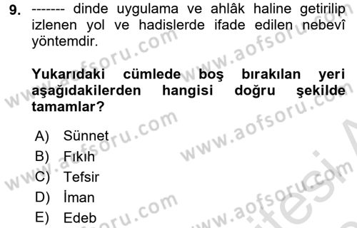 Hadis Dersi 2025 - 2026 Yılı (Final) Dönem Sonu Sınav Soruları 9. Soru