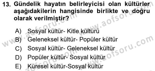 Din Sosyolojisi Dersi 2016 - 2017 Yılı 3 Ders Sınav Soruları 13. Soru