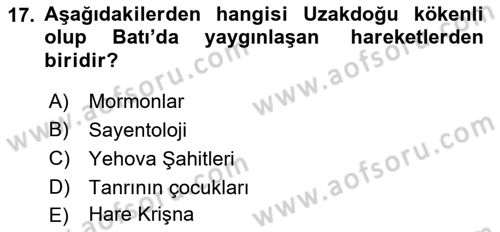 Din Sosyolojisi Dersi 2021 - 2022 Yılı Yaz Okulu Sınav Soruları 17. Soru