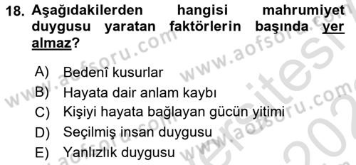 Din Sosyolojisi Dersi 2021 - 2022 Yılı Yaz Okulu Sınav Soruları 18. Soru