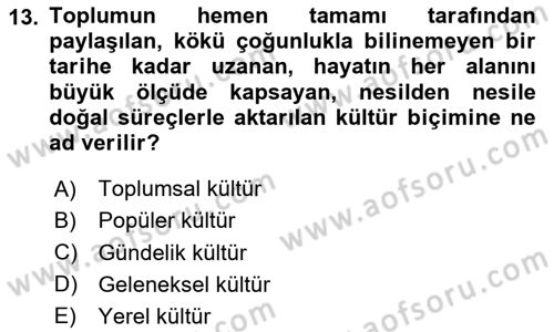 Din Sosyolojisi Dersi 2023 - 2024 Yılı Yaz Okulu Sınav Soruları 13. Soru