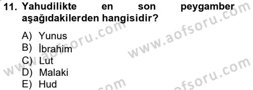 Yaşayan Dünya Dinleri Dersi 2012 - 2013 Yılı (Final) Dönem Sonu Sınav Soruları 11. Soru