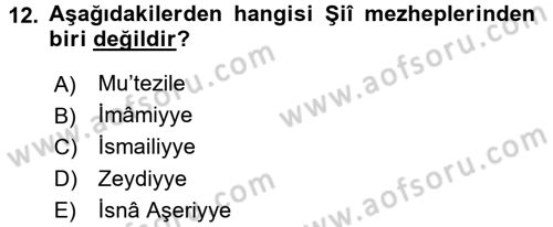 Yaşayan Dünya Dinleri Dersi 2016 - 2017 Yılı 3 Ders Sınav Soruları 12. Soru