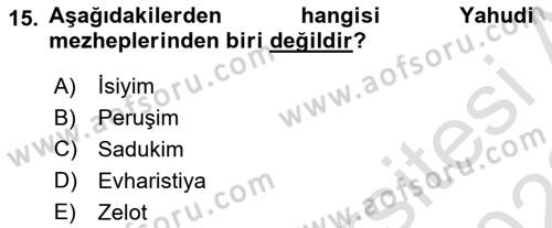 Yaşayan Dünya Dinleri Dersi 2021 - 2022 Yılı Yaz Okulu Sınav Soruları 15. Soru