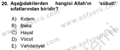 Yaşayan Dünya Dinleri Dersi Yaz Okulu Sınavı Deneme Sınav Soruları 20. Soru
