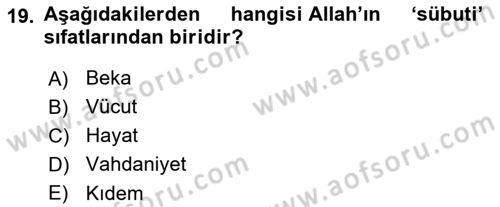 Yaşayan Dünya Dinleri Dersi 2024 - 2025 Yılı Yaz Okulu Sınav Soruları 19. Soru