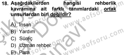 Din Eğitimi ve Din Hizmetlerinde Rehberlik Dersi 2012 - 2013 Yılı (Final) Dönem Sonu Sınav Soruları 18. Soru