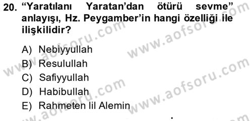 Din Eğitimi ve Din Hizmetlerinde Rehberlik Dersi 2013 - 2014 Yılı (Final) Dönem Sonu Sınav Soruları 20. Soru
