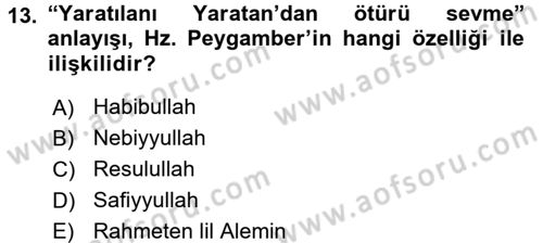 Din Eğitimi ve Din Hizmetlerinde Rehberlik Dersi 2017 - 2018 Yılı 3 Ders Sınav Soruları 13. Soru