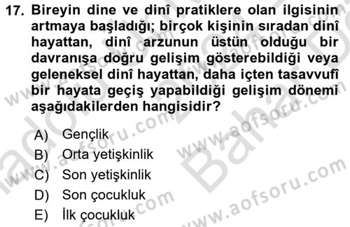 Din Eğitimi ve Din Hizmetlerinde Rehberlik Dersi 2024 - 2025 Yılı (Vize) Ara Sınav Soruları 17. Soru