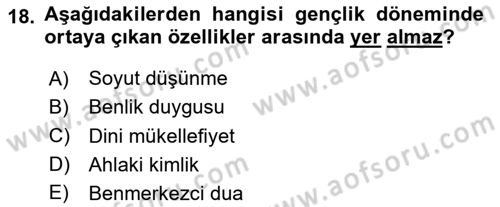 Din Eğitimi ve Din Hizmetlerinde Rehberlik Dersi 2024 - 2025 Yılı (Vize) Ara Sınav Soruları 18. Soru