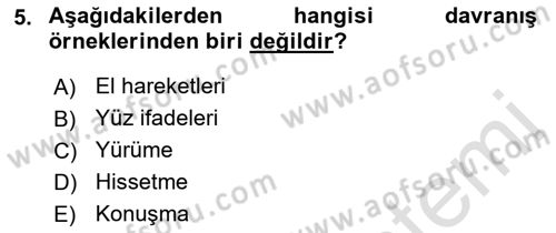 Bireyler Arası İletişim Dersi 2018 - 2019 Yılı 3 Ders Sınav Soruları 5. Soru