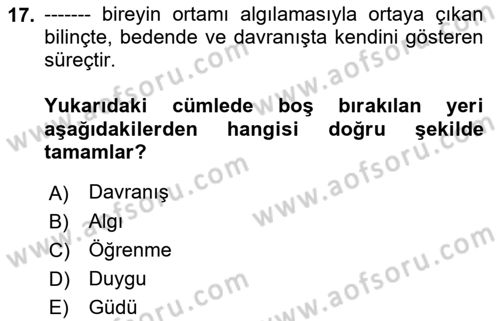 Bireyler Arası İletişim Dersi Ara Sınavı Deneme Sınav Soruları 17. Soru