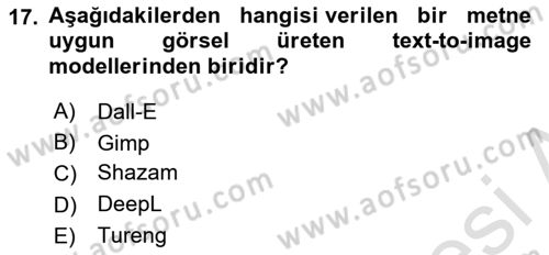 Yeni İletişim Teknolojileri Dersi 2024 - 2025 Yılı (Final) Dönem Sonu Sınav Soruları 17. Soru