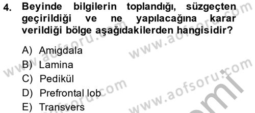 Etkili İletişim Teknikleri Dersi 2013 - 2014 Yılı (Final) Dönem Sonu Sınav Soruları 4. Soru