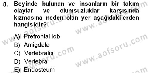 Etkili İletişim Teknikleri Dersi 2014 - 2015 Yılı (Vize) Ara Sınav Soruları 8. Soru