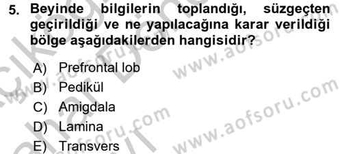 Etkili İletişim Teknikleri Dersi 2016 - 2017 Yılı (Vize) Ara Sınav Soruları 5. Soru