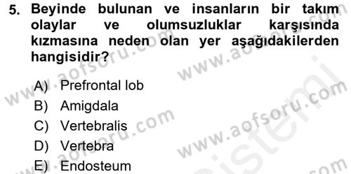 Etkili İletişim Teknikleri Dersi 2017 - 2018 Yılı (Vize) Ara Sınav Soruları 5. Soru