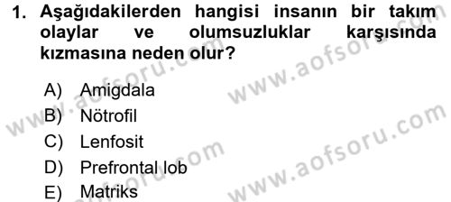 Etkili İletişim Teknikleri Dersi 2018 - 2019 Yılı 3 Ders Sınav Soruları 1. Soru