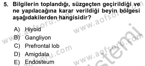 Etkili İletişim Teknikleri Dersi 2018 - 2019 Yılı Yaz Okulu Sınav Soruları 5. Soru
