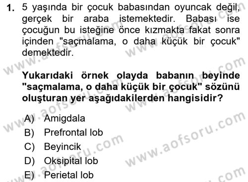 Etkili İletişim Teknikleri Dersi 2021 - 2022 Yılı (Vize) Ara Sınav Soruları 1. Soru