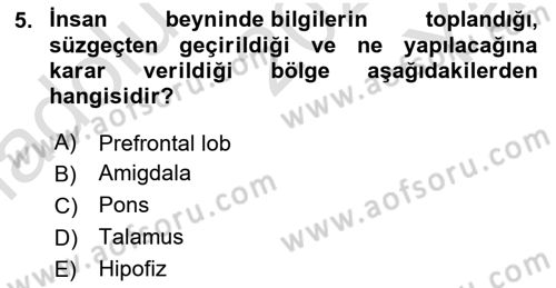 Etkili İletişim Teknikleri Dersi 2021 - 2022 Yılı Yaz Okulu Sınav Soruları 5. Soru