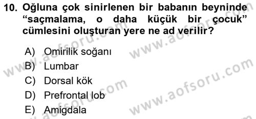 Etkili İletişim Teknikleri Dersi 2022 - 2023 Yılı Yaz Okulu Sınav Soruları 10. Soru