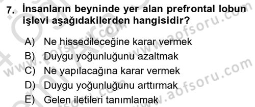 Etkili İletişim Teknikleri Dersi 2023 - 2024 Yılı (Vize) Ara Sınav Soruları 7. Soru