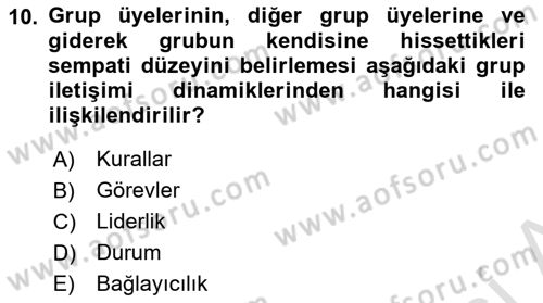 İletişim Bilgisi Dersi 2023 - 2024 Yılı Yaz Okulu Sınav Soruları 10. Soru
