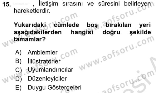 İletişim Bilgisi Dersi 2024 - 2025 Yılı (Vize) Ara Sınavı 15. Soru